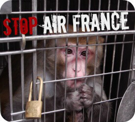 Stop Air France