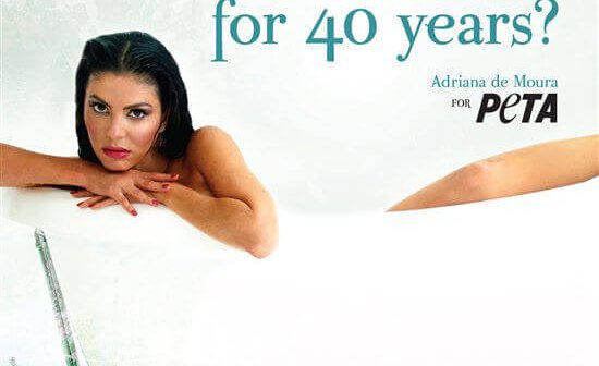 ‘Real Housewife’ Makes a Splash for Lolita the Orca