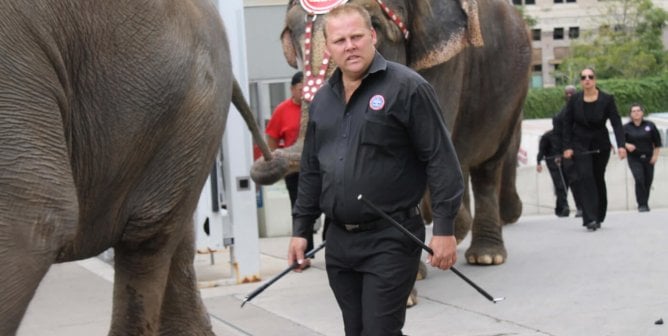 Ringling Brothers Trainer with Bullhooks