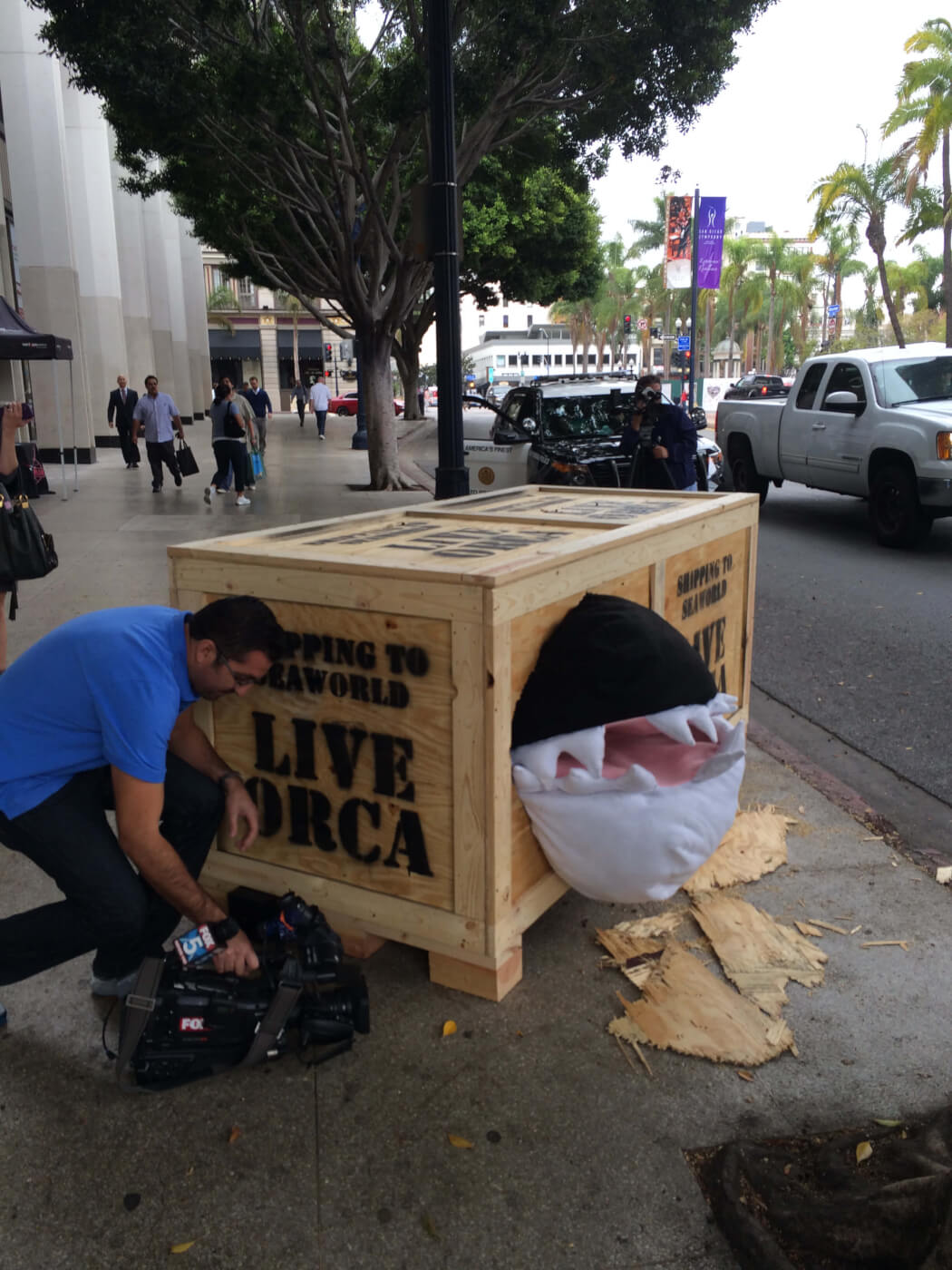 Screaming 'Orca' Fated for SeaWorld Urges Public to Watch