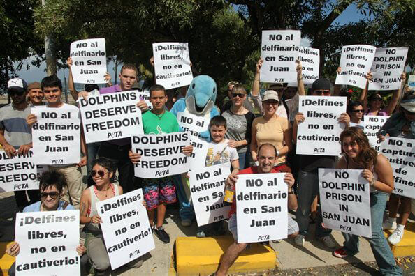 Puerto Rico Dolphinarium Hits the Shoals