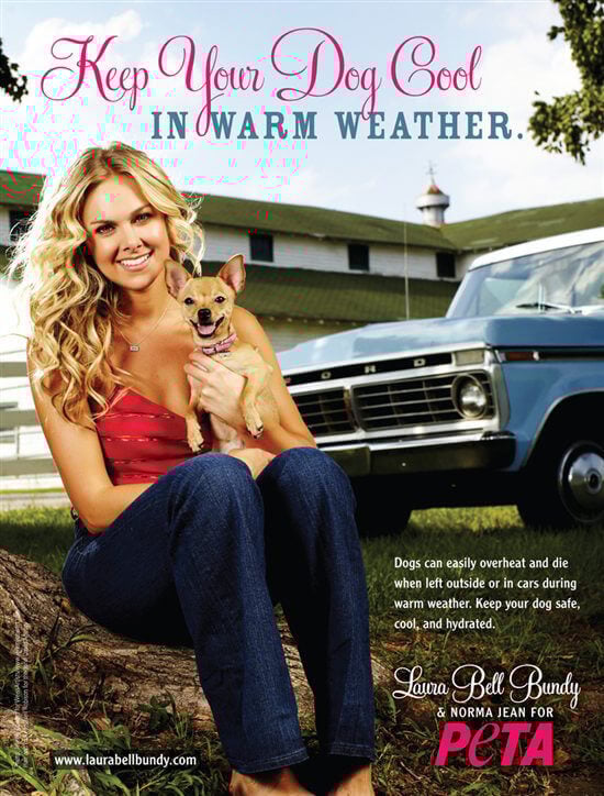 Pictures of laura bell bundy
