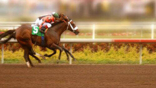 3755.horse_2D00_race.jpg