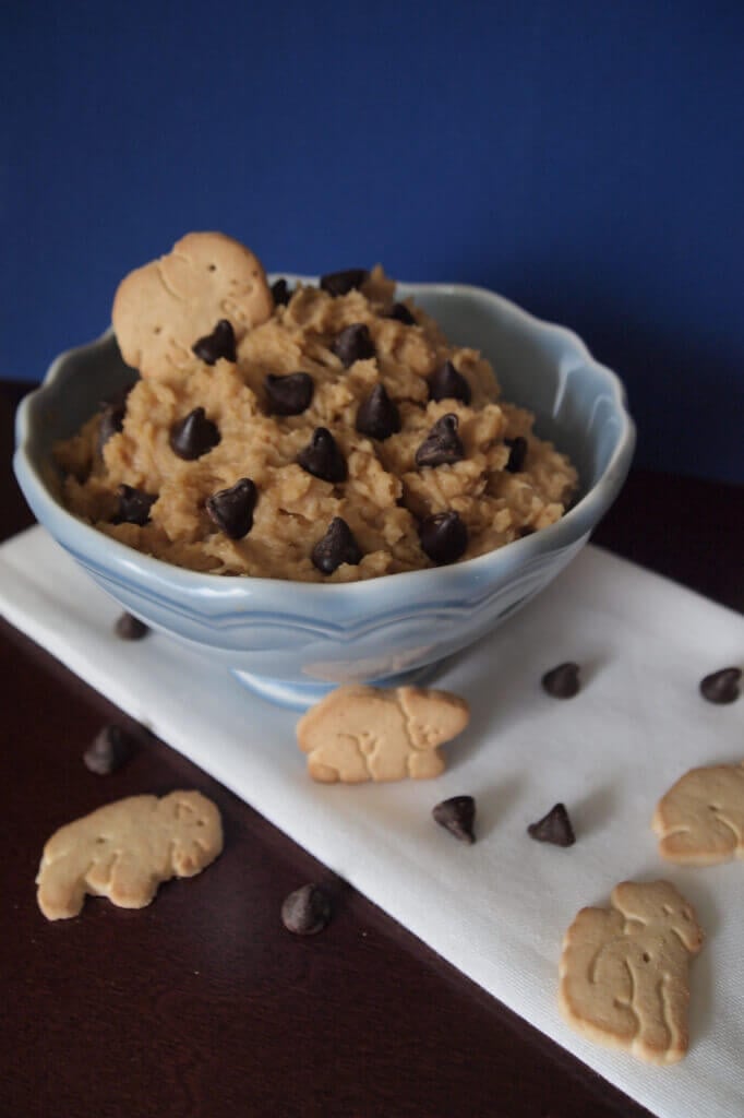 Chocolate Chip Peanut Butter Hummus