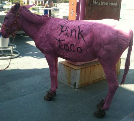 No More Pink Donkeys at Pink Taco
