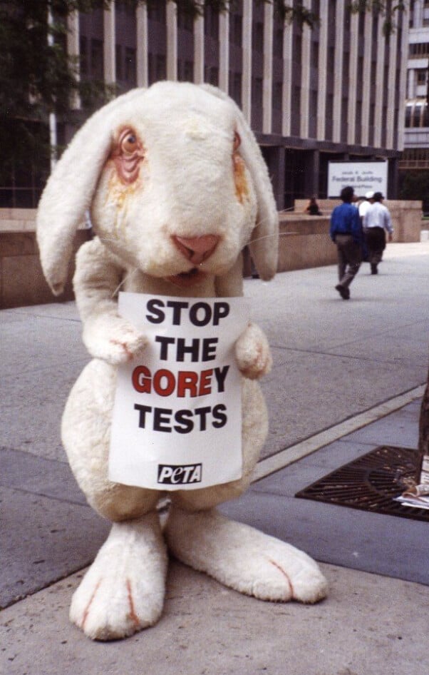 35 Things That Aren't Happening Today Because of PETA | PETA
