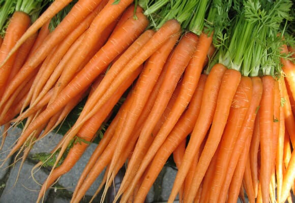 580_2D00_carrots.jpg