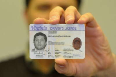 Driver s license