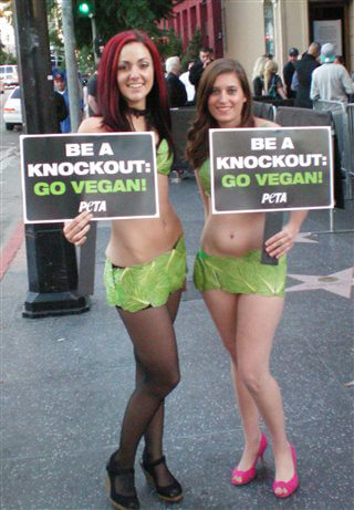 Lettuce Ladies K.O. Meat at Boxing Match