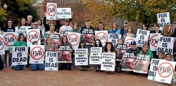 Join Us on Fur-Free Friday!