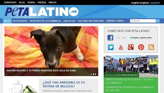 PETA Celebrates the Launch of PETA Latino