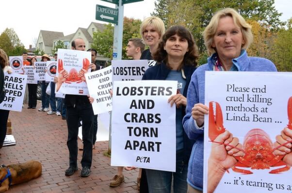 Linda Bean protest Ingrid Newkirk Maine