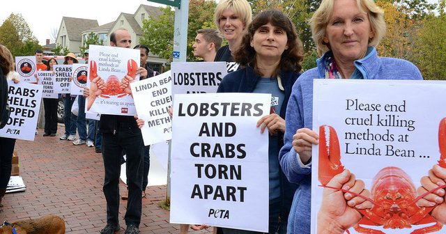 Linda Bean protest Ingrid Newkirk Maine
