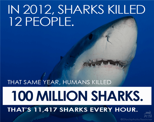 The Deadliest Predator of All (Hint: It's Not Sharks) | PETA