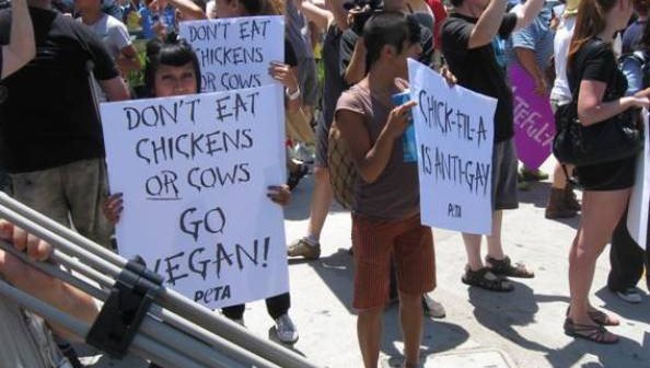 Chickens Aren’t Gay at Chick-fil-A