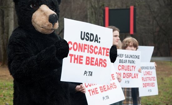 PETA ‘Bear’ Leads Protest Outside Nightmarish Roadside Zoo