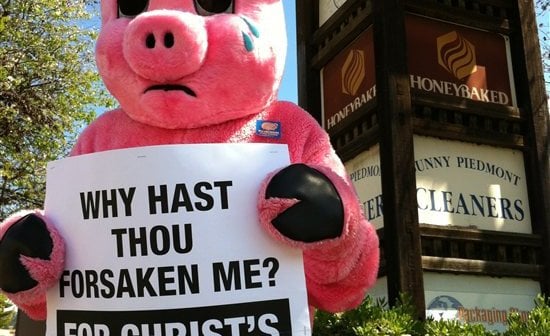 PETA Pig: ‘HoneyBaked Ham Killed My Mom’