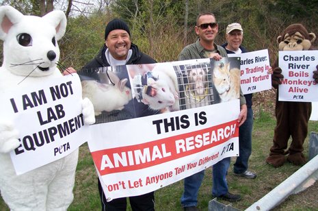 Who's to Blame for Half of All Animal Testing? | PETA