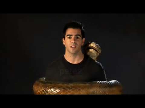 Eli Roth Speaks Out Against Violence (Peta2) 0:30 | PETA