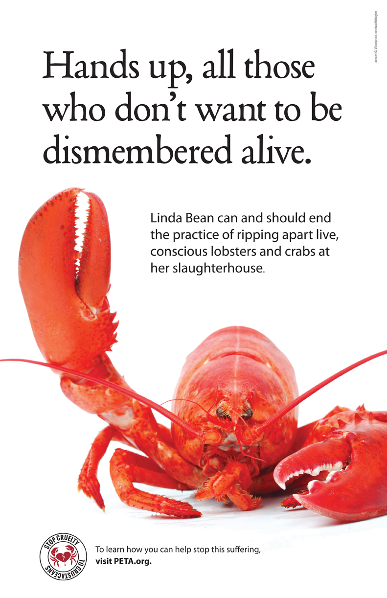 Linda 'Mean' Maims Lobsters and Crabs—See What's Being Done About It! | PETA Linda 'Mean' Maims Lobsters and Crabs—See What's Being Done About It! | PETA
