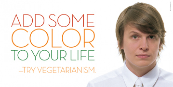 Death Cab For Cutie PSA