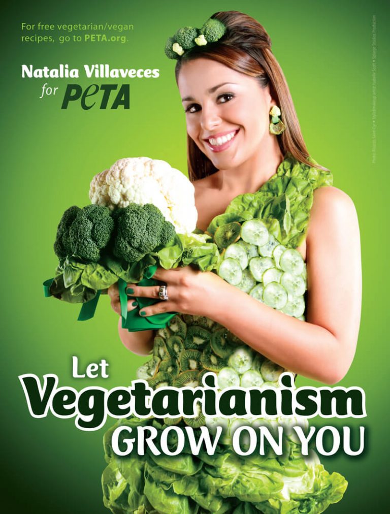 telemundo star natalia villaveces says let vegetarianism telemundo star natalia villaveces says let vegetarianism
