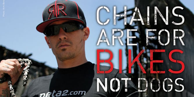 Carey Hart PSA