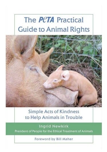 The-Practical-Guide-to-Animal-Rights-Book