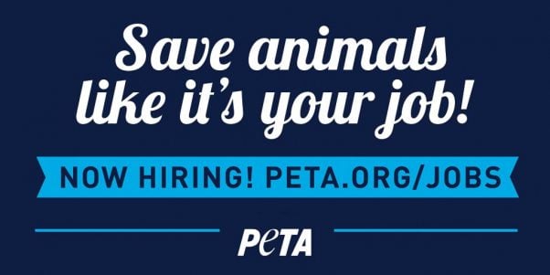 Save Animals Like It's Your Job