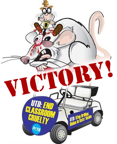 Victory! Class Stops Cruel Rat Experiments
