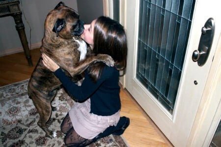 PETAs 12 Best Living Articles of 2012! PETA image PETAs 12 Best Living Articles of 2012! PETA pic