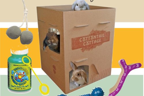 PETA Picks: 5 Great Toys for Cats, Dogs, and Bunnies