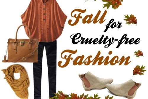 Fashion Friday: Fall for Cruelty-Free Fashion