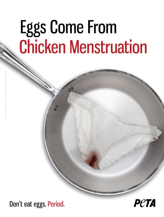 Would You Eat A Chicken's Period? PETA