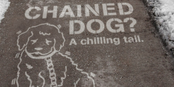 Chained Dog? A Chilling Tail (Sidewalk Stencil)