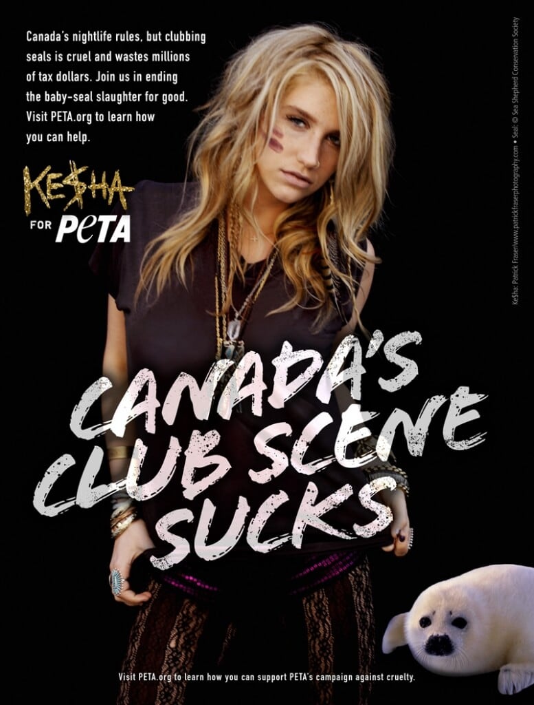 Ke$ha Fights Canada's Seal Slaughter