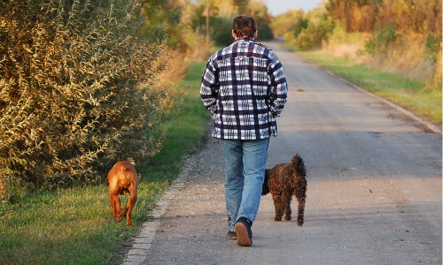 Walking Your Dog Is Better Than Hitting the Gym!