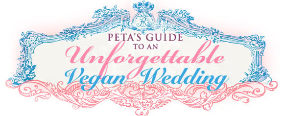 Vegan Wedding Guide