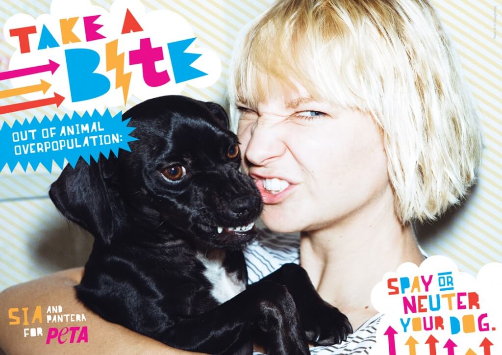 Sia: Take a Bite out of Animal Overpopulation - PETA