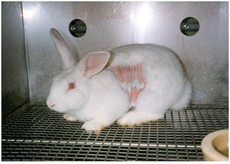 Department of Transportation Ends Animal Testing Requirement