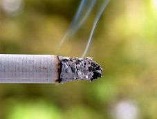 Smoking Endangers Animals Too