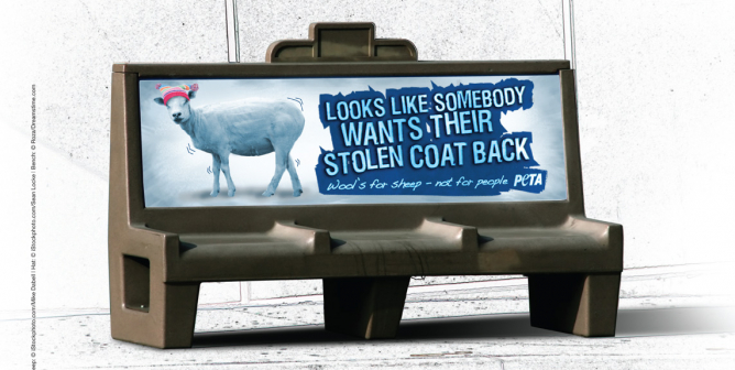 Looks Like Somebody Wants Their Stolen Coat Back (Bench)