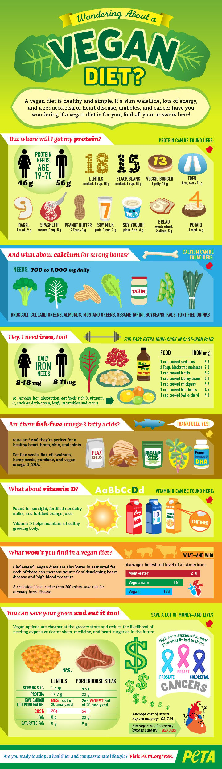 Difference Between Vegan And Vegetarian Chart