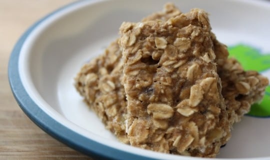 vegan_2D00_oatmeal_2D00_bars.JPG