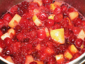 Not Your Mamma’s Cranberry Sauce
