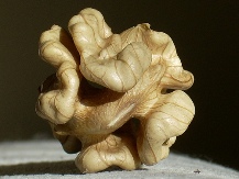 walnut.jpg