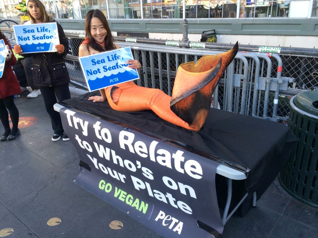 Mermaid Activist in Seattle