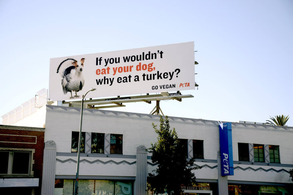 Thankgsiving Turkey Dog Billboard Closer