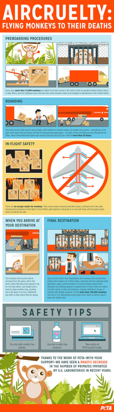 Air Cruelty Infographic