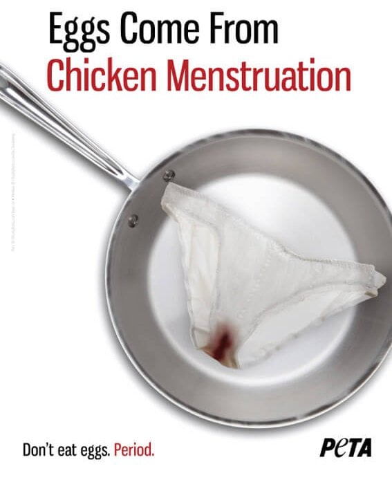 Would You Eat A Chicken's Period?